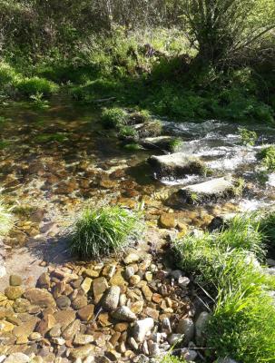 Poldras_ Passadouras